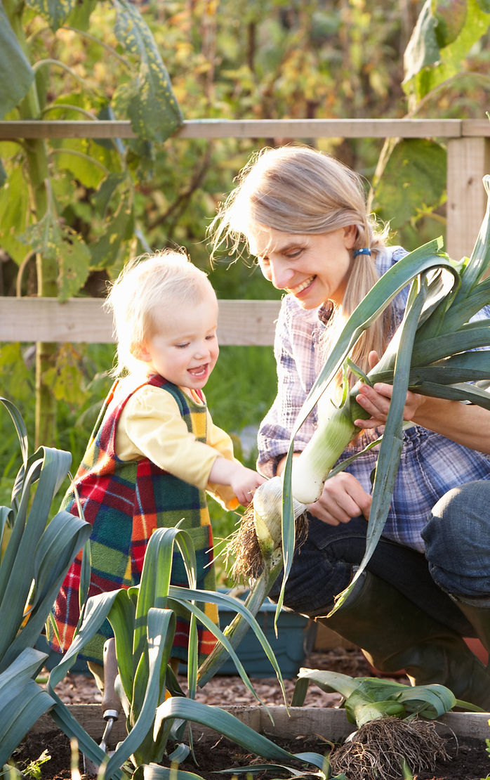 dreamstimemaximum_21399783 (1).jpg