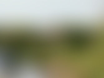 Intentional Communities: What is a regenerative educational community? 